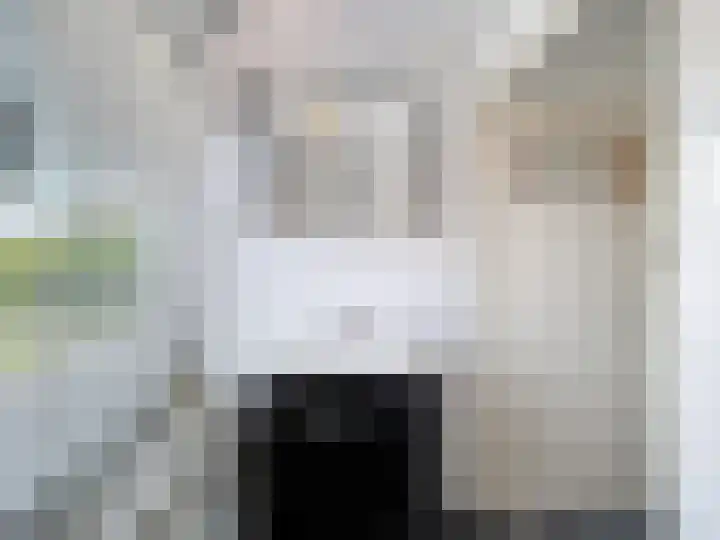 Koningin Wilhelminastraat 4 Schoondijke thumbnail 16