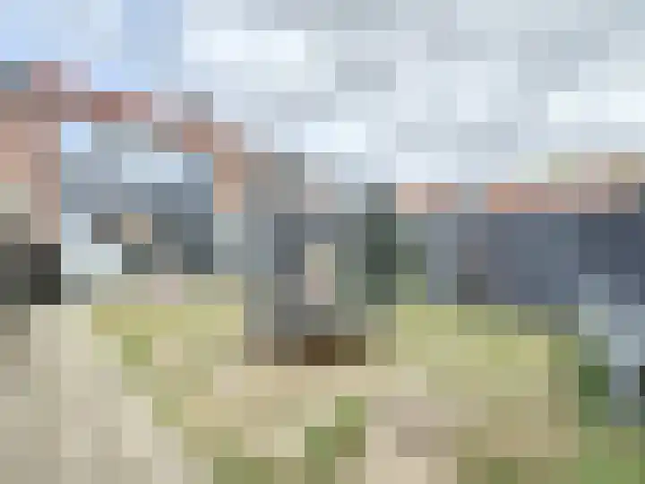 Koningin Wilhelminastraat 4 Schoondijke thumbnail 17