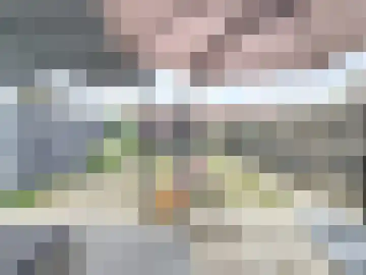Koningin Wilhelminastraat 4 Schoondijke thumbnail 19