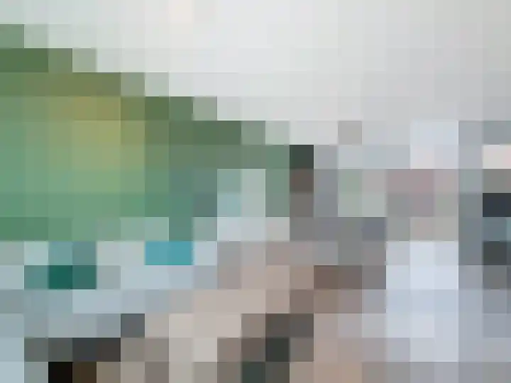 Koningin Wilhelminastraat 4 Schoondijke thumbnail 4
