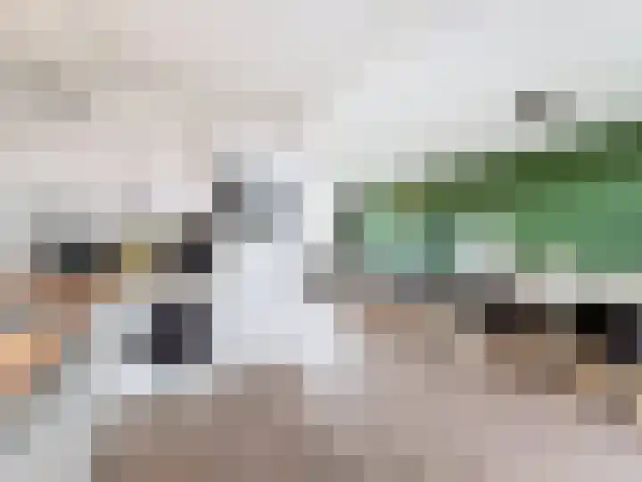 Koningin Wilhelminastraat 4 Schoondijke thumbnail 5