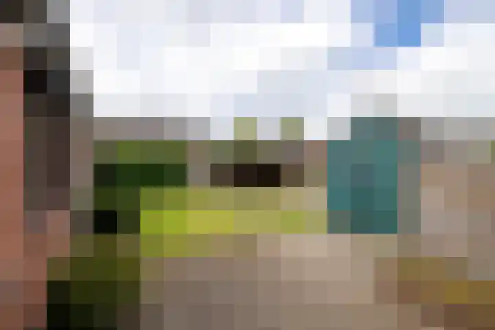 Koningin Wilhelminastraat 41 Wehl thumbnail 15
