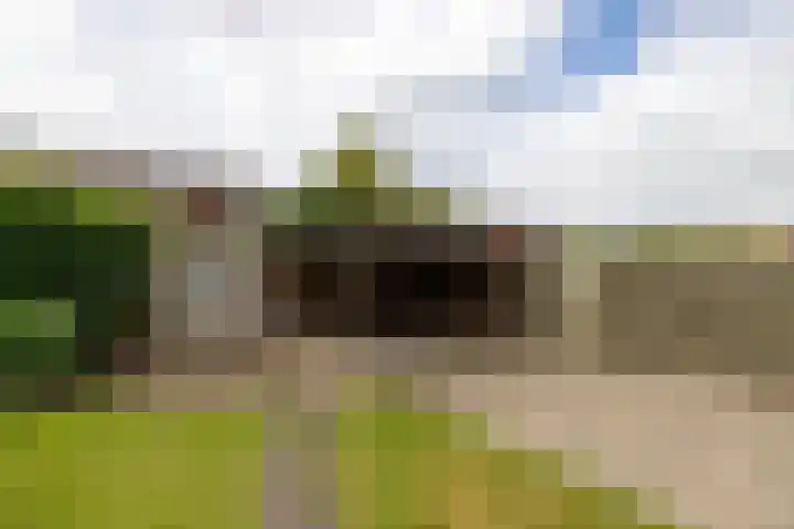 Koningin Wilhelminastraat 41 Wehl thumbnail 16