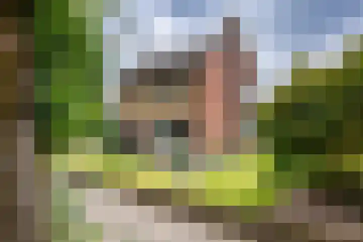 Koningin Wilhelminastraat 41 Wehl thumbnail 19