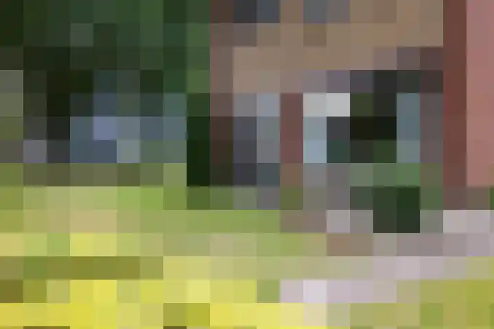 Koningin Wilhelminastraat 41 Wehl thumbnail 20