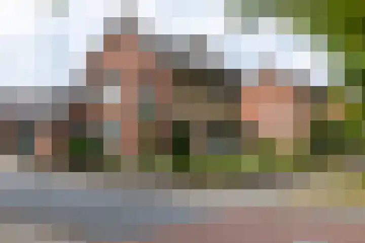 Koningin Wilhelminastraat 41 Wehl thumbnail 39