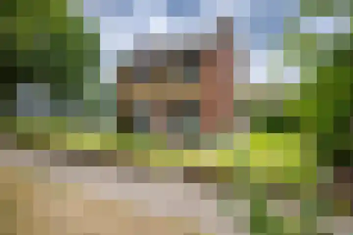 Koningin Wilhelminastraat 41 Wehl thumbnail 45