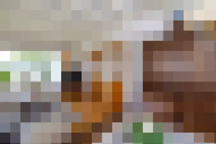 Koningin Wilhelminastraat 41 Wehl thumbnail 6