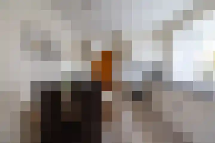 Koningin Wilhelminastraat 41 Wehl thumbnail 7
