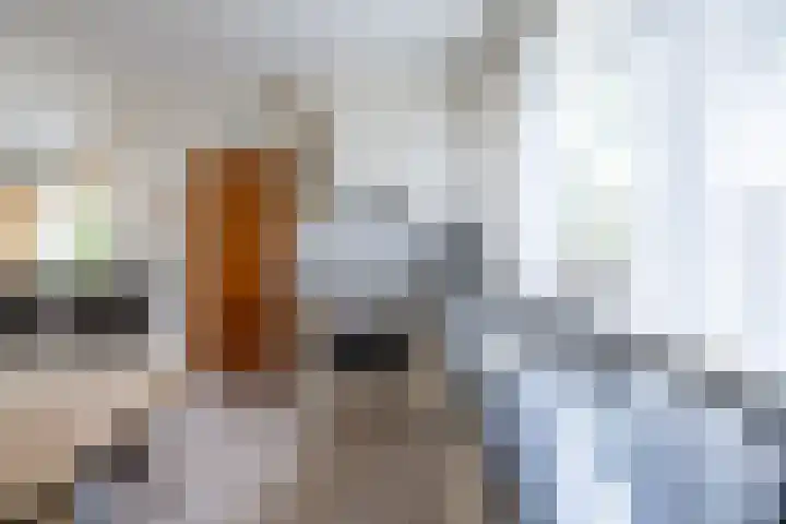 Koningin Wilhelminastraat 41 Wehl thumbnail 8