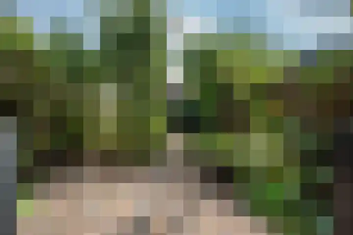 Koningin Wilhelminastraat 47 Benthuizen thumbnail 20