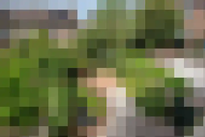 Koningin Wilhelminastraat 47 Benthuizen thumbnail 33