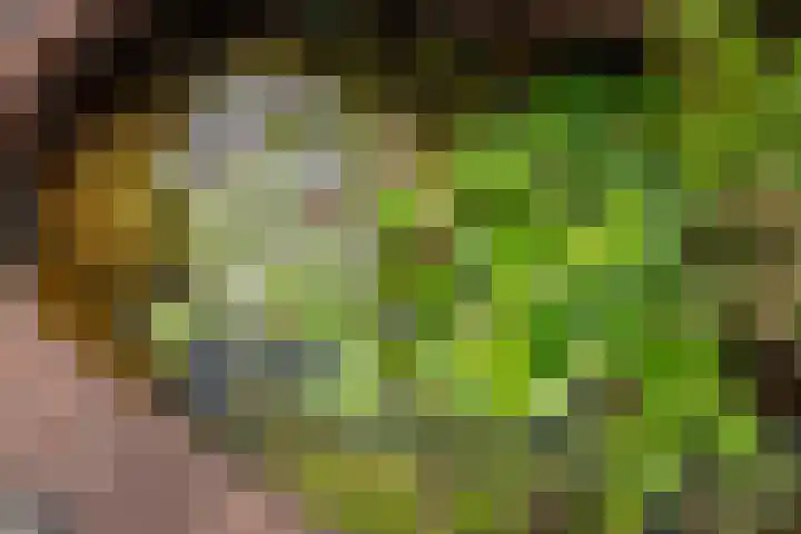 Koningin Wilhelminastraat 47 Benthuizen thumbnail 43