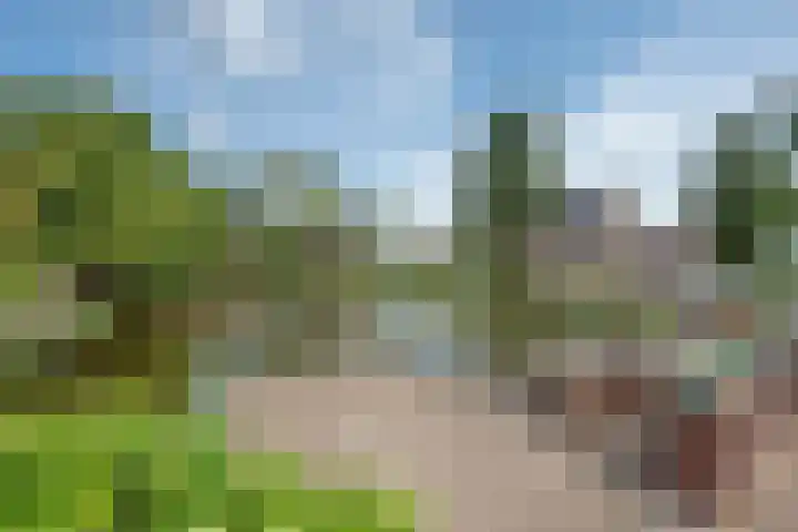 Koningin Wilhelminastraat 47 Benthuizen thumbnail 47