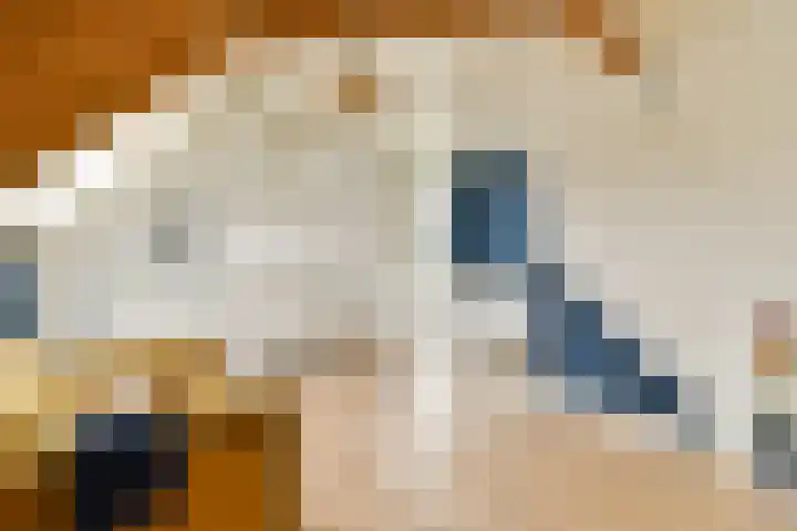 Koningin Wilhelminastraat 5 Huizen thumbnail 20