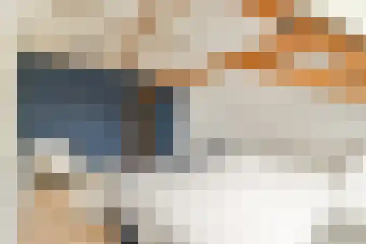 Koningin Wilhelminastraat 5 Huizen thumbnail 25