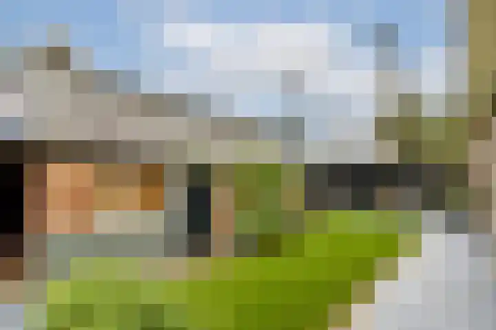 Koningin Wilhelminastraat 5 Huizen thumbnail 34