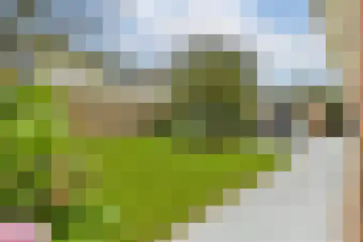 Koningin Wilhelminastraat 5 Huizen thumbnail 38