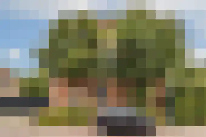 Koningin Wilhelminastraat 5 Huizen thumbnail 4