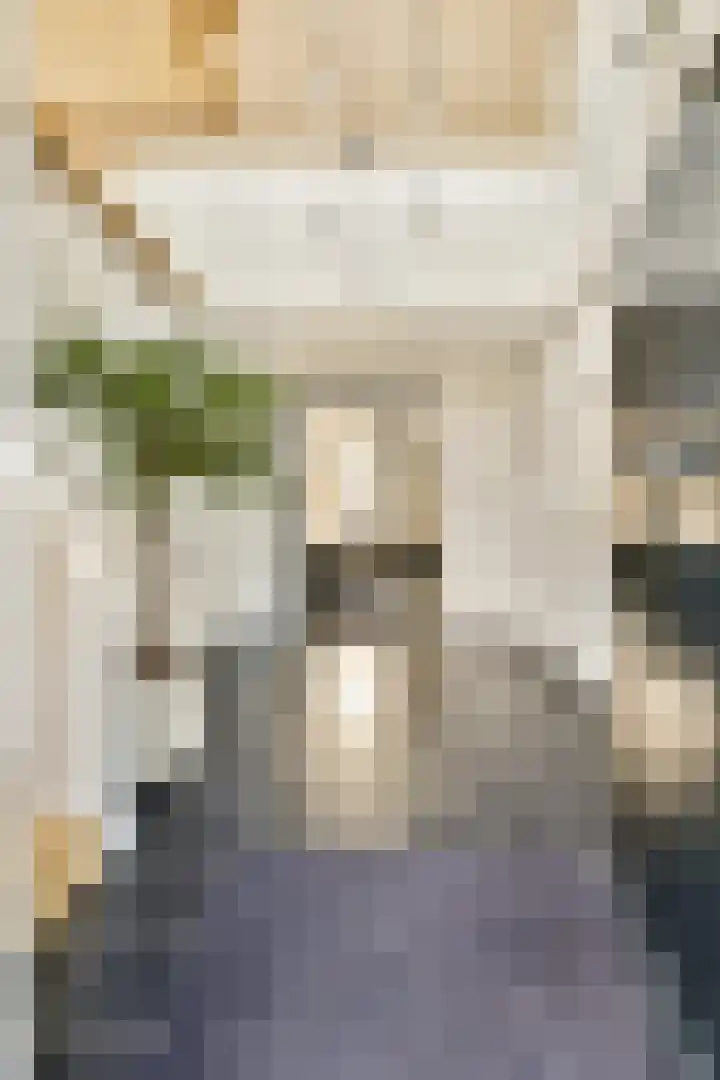 Koningin Wilhelminastraat 5 Huizen thumbnail 5