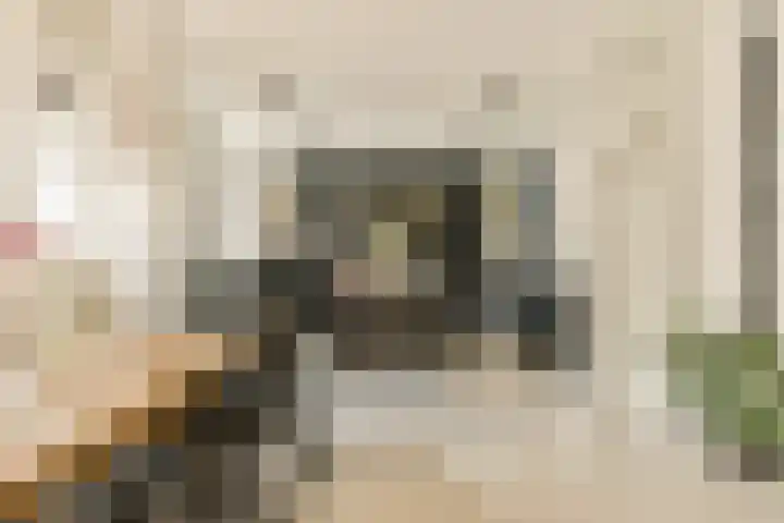 Koningin Wilhelminastraat 5 Huizen thumbnail 6