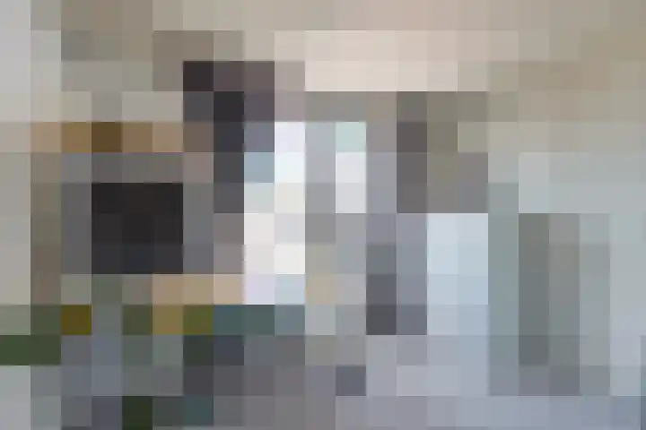 Koningin Wilhelminastraat 50 De Lier thumbnail 13
