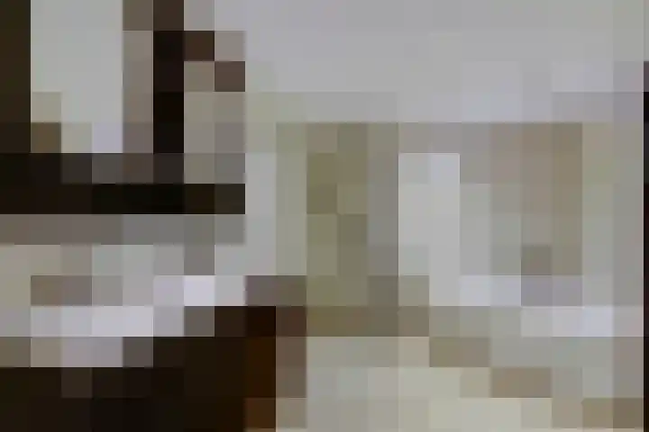 Koningin Wilhelminastraat 50 De Lier thumbnail 15