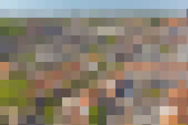 Koningin Wilhelminastraat 50 De Lier thumbnail 25