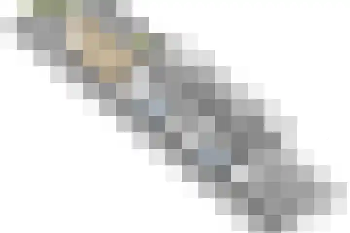 Koningin Wilhelminastraat 50 De Lier thumbnail 35