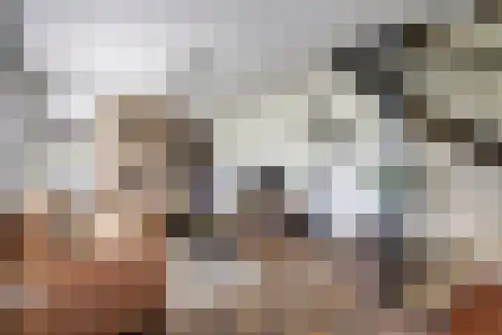 Koningin Wilhelminastraat 50 De Lier thumbnail 5