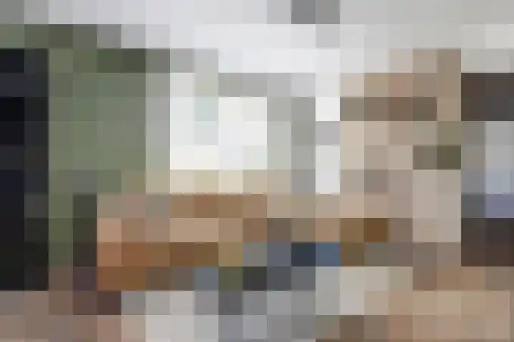 Koningin Wilhelminastraat 50 De Lier thumbnail 6
