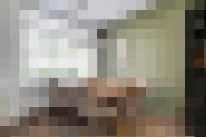 Koningin Wilhelminastraat 50 De Lier thumbnail 7