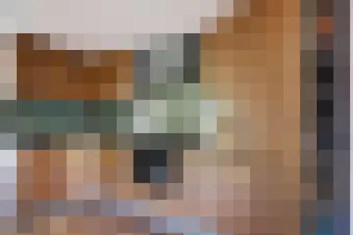 Koningin Wilhelminastraat 50 De Lier thumbnail 8
