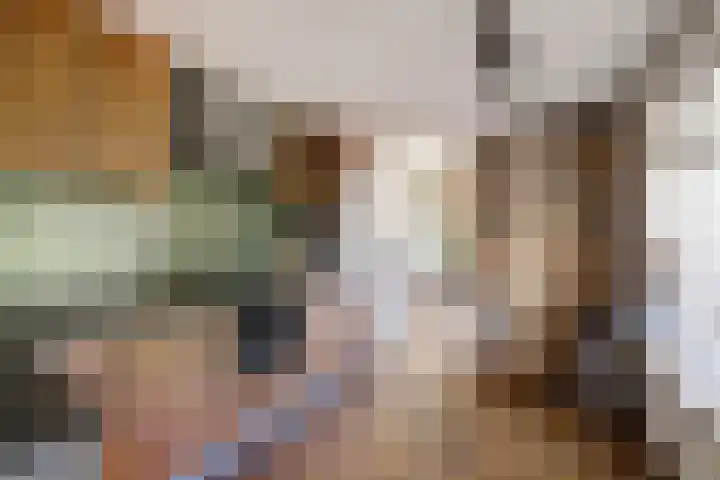 Koningin Wilhelminastraat 50 De Lier thumbnail 9