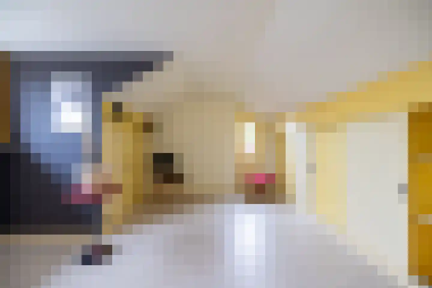 Koningin Wilhelminastraat 53 Wehl thumbnail 45
