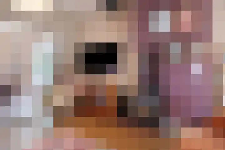 Koningin Wilhelminastraat 59 Hedel thumbnail 18