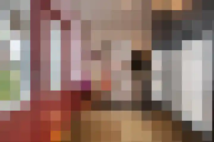 Koningin Wilhelminastraat 59 Hedel thumbnail 29