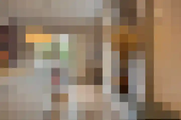 Koningin Wilhelminastraat 59 Hedel thumbnail 5