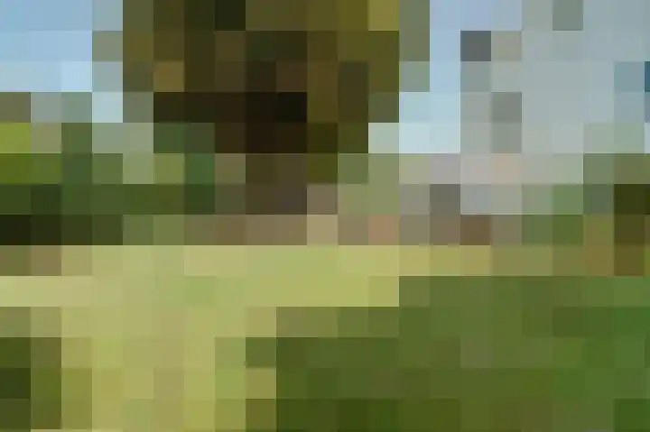 Koningin Wilhelminastraat 59 Hedel thumbnail 56
