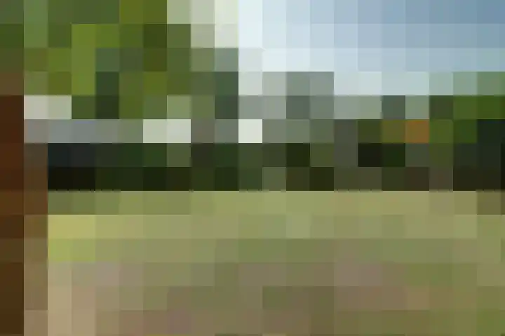 Koningin Wilhelminastraat 59 Hedel thumbnail 57