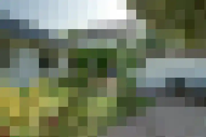 Koningin Wilhelminastraat 59 Hedel thumbnail 61