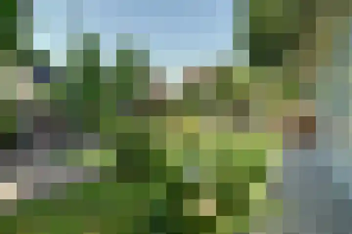 Koningin Wilhelminastraat 59 Hedel thumbnail 62