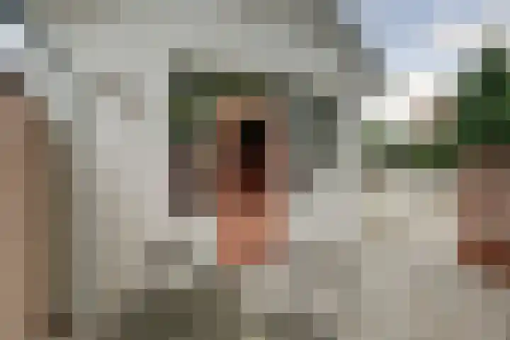 Koningin Wilhelminastraat 59 Hedel thumbnail 64