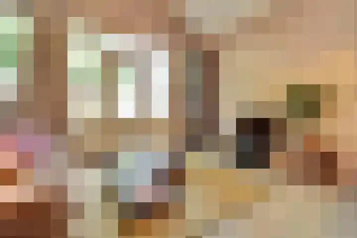 Koningin Wilhelminastraat 59 Hedel thumbnail 66