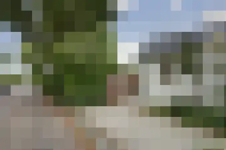 Koningin Wilhelminastraat 59 Hedel thumbnail 80