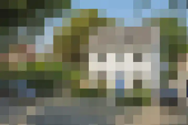 Koningin Wilhelminastraat 59 Hedel thumbnail 83