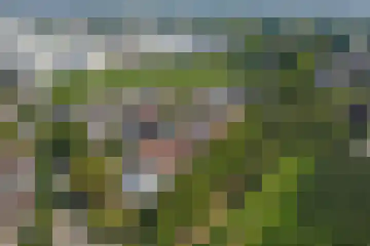 Koningin Wilhelminastraat 59 Hedel thumbnail 88