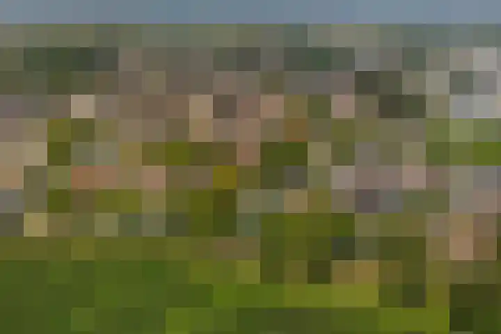Koningin Wilhelminastraat 59 Hedel thumbnail 90