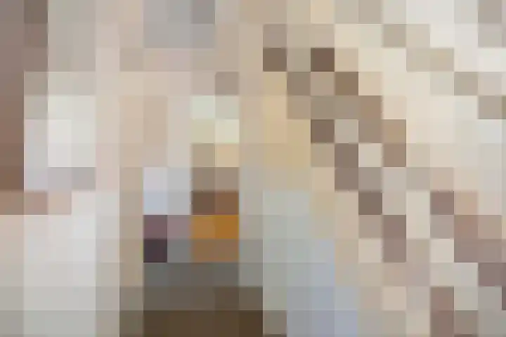Koningin Wilhelminastraat 6 Olst thumbnail 15
