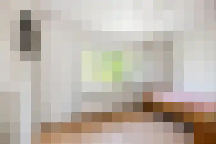 Koningin Wilhelminastraat 6 Olst thumbnail 17